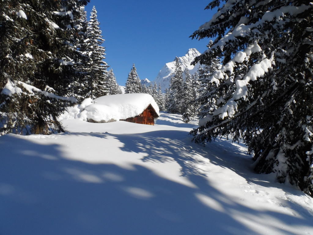 Haus Brunneck Apartment Warth  Екстериор снимка